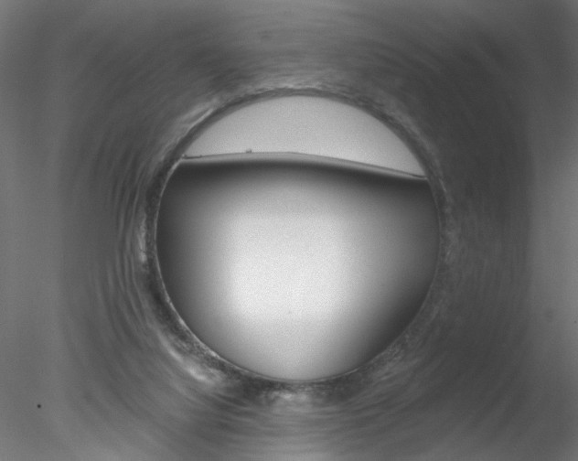 X0000078270068200611031001