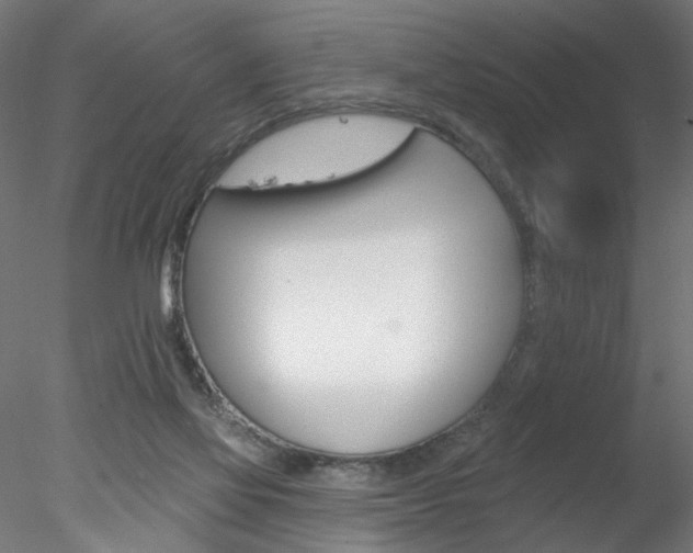 X0000078270069200611031001