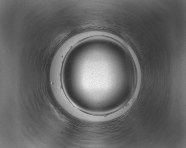 X0000078270070200611031001