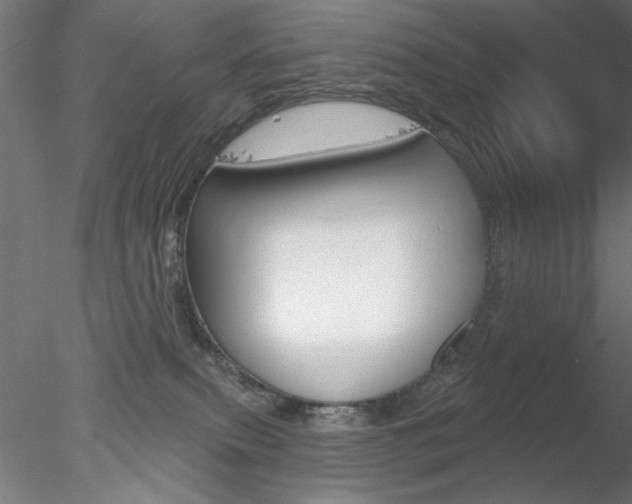 X0000078270087200611031002