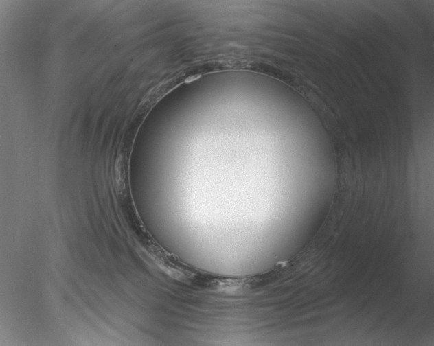 X0000078270088200611031002
