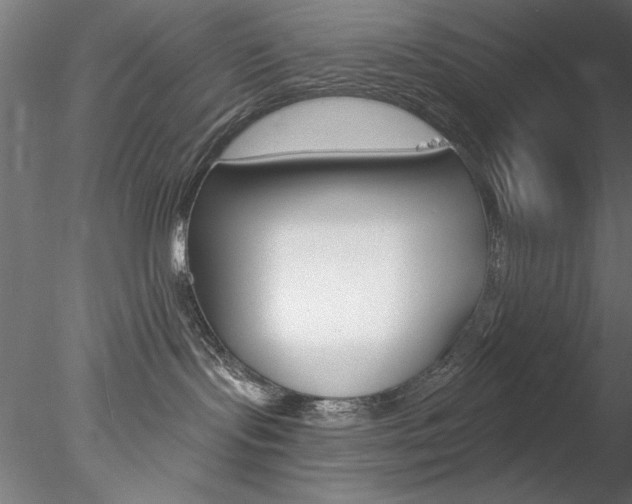 X0000078270095200611031002