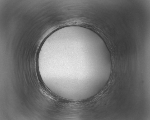 X0000078270100200611031001