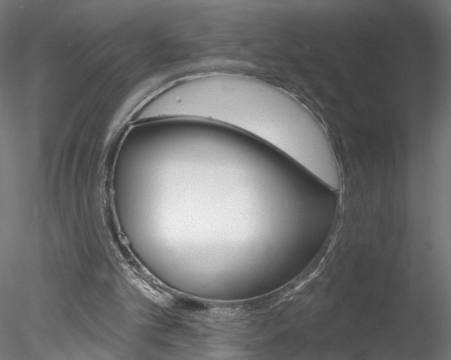 X0000078270101200611031001
