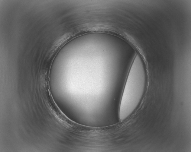 X0000078270105200611031001