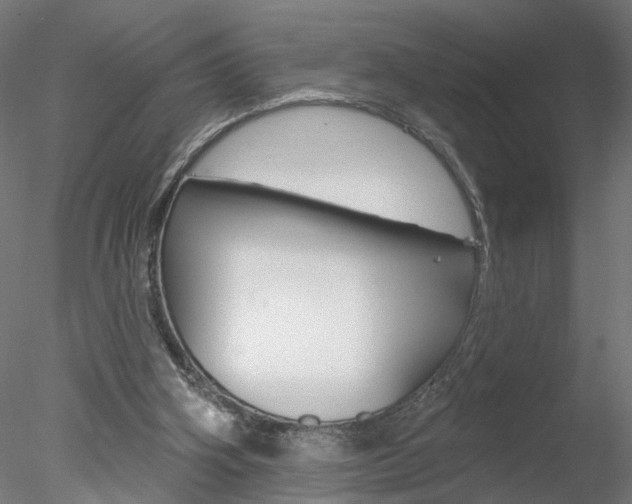 X0000078270106200611031001