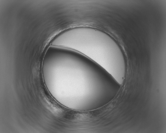 X0000078270107200611031001