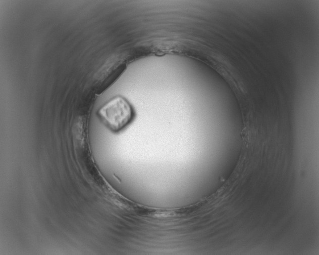 X0000078270121200611031000