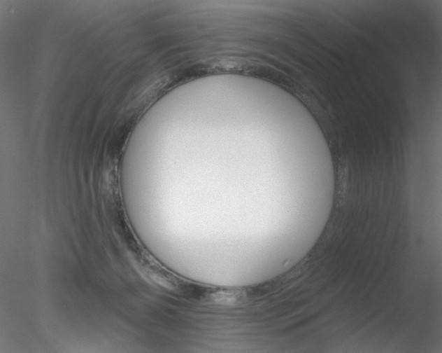 X0000078270126200611031000