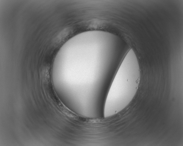 X0000078270127200611031000