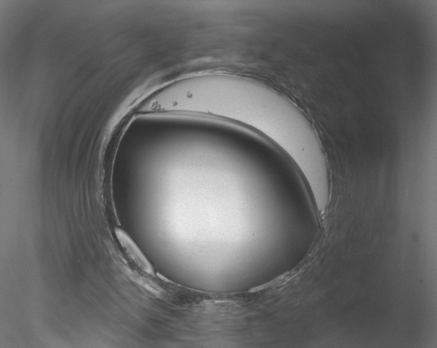 X0000078270150200611030959