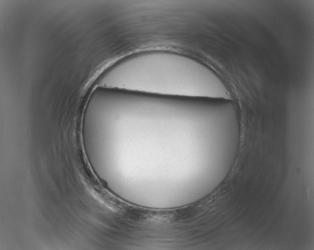 X0000078270155200611030959