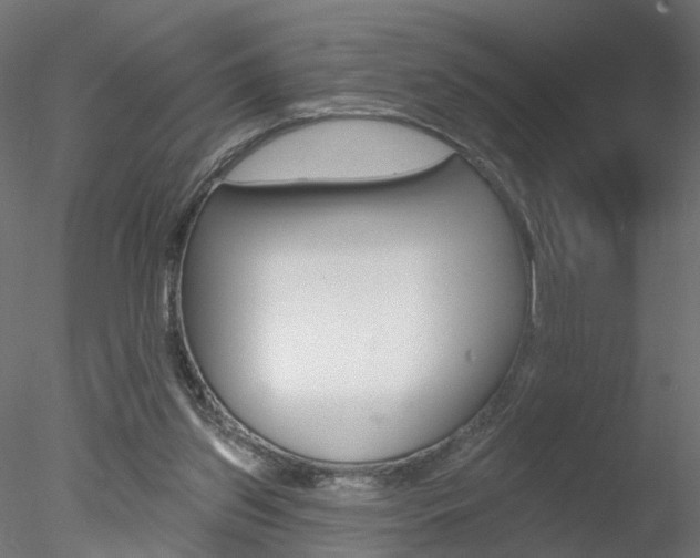 X0000078270157200611031000