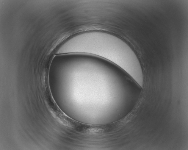 X0000078270158200611031000