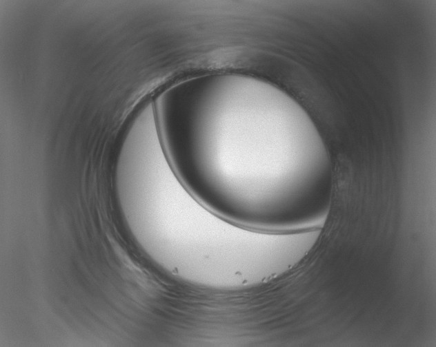 X0000078270164200611031000