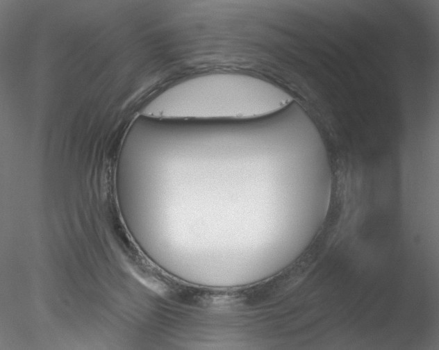 X0000078270165200611031000