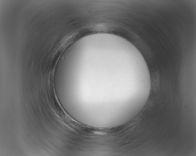 X0000078270167200611031000