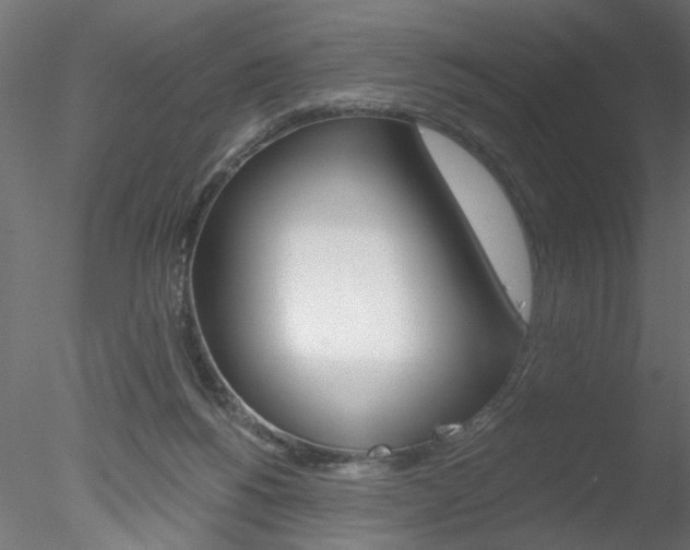 X0000078270168200611031000