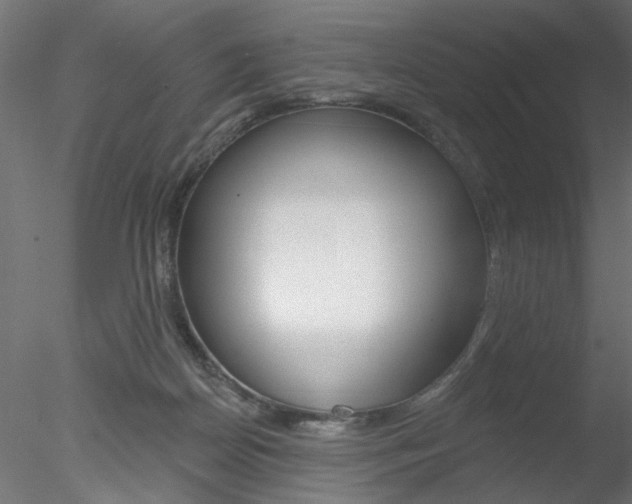 X0000078270170200611031000