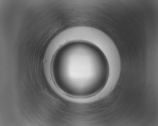 X0000078270172200611031000