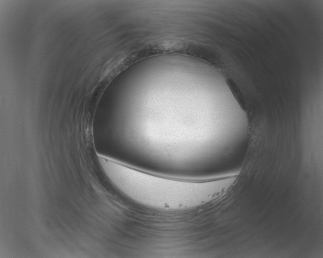 X0000078270176200611031000