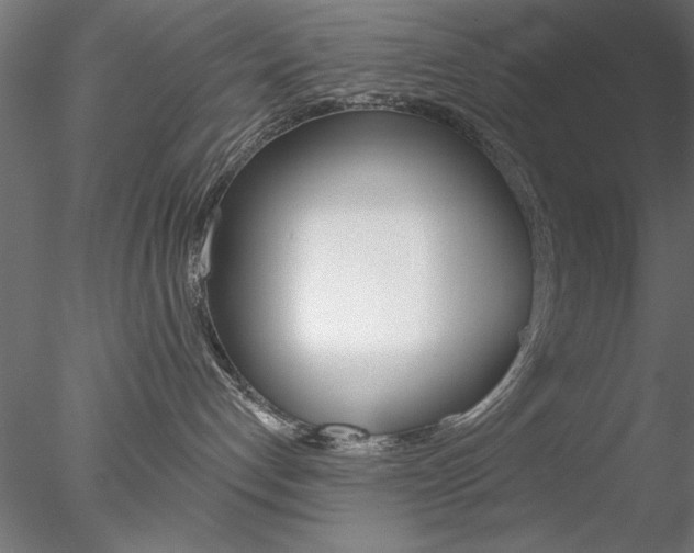 X0000078270192200611031000