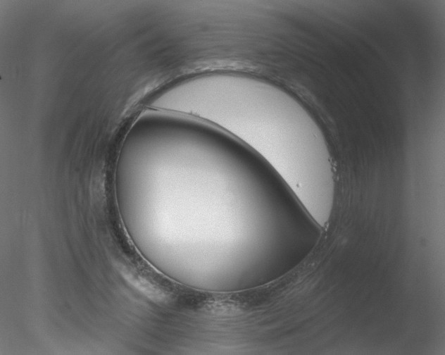 X0000078270207200611030959