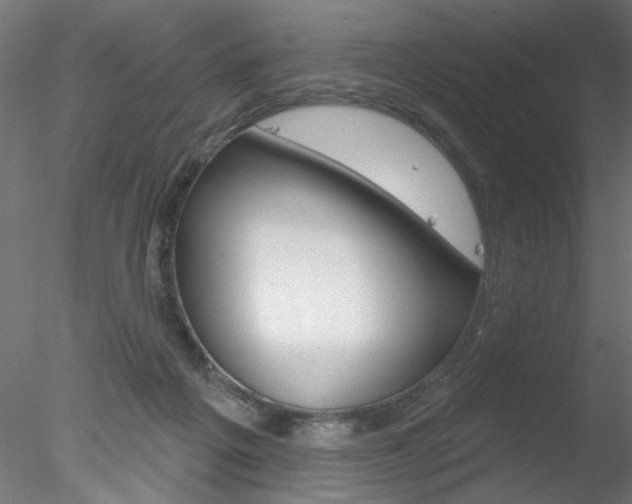 X0000078270217200611030959