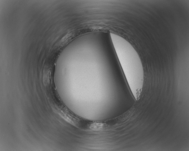 X0000078270227200611030959