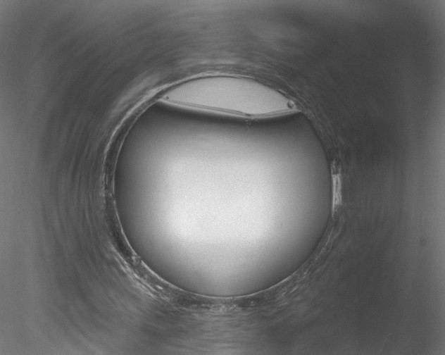 X0000078270243200611030958