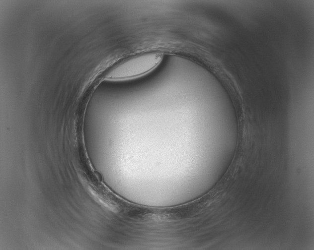 X0000078270250200611030958