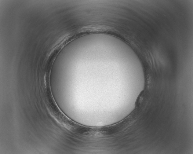 X0000078270254200611030958