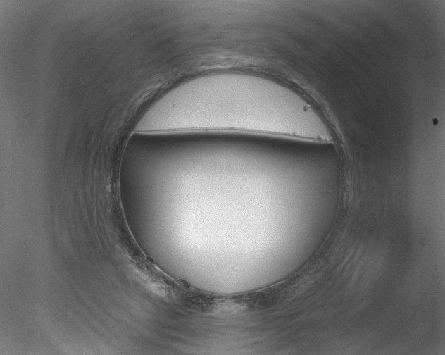 X0000078270257200611030958