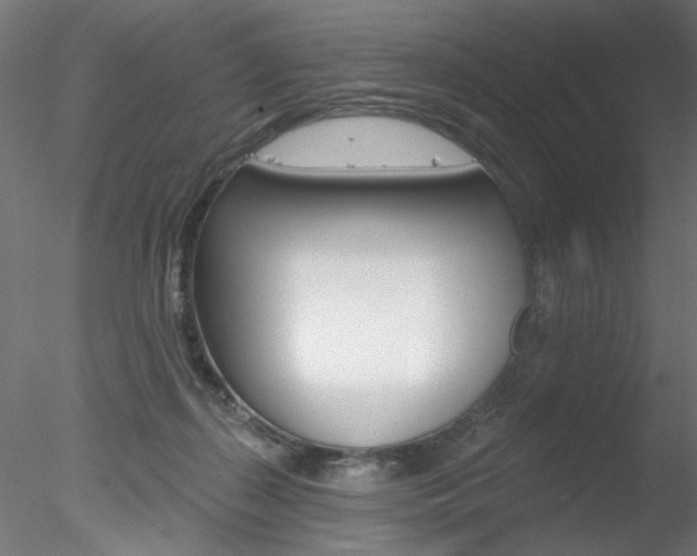 X0000078270267200611030958