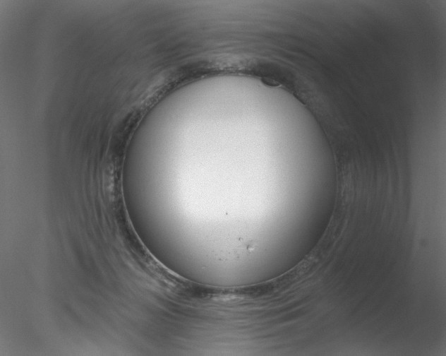 X0000078270268200611030958