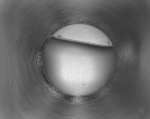 X0000078270273200611030958