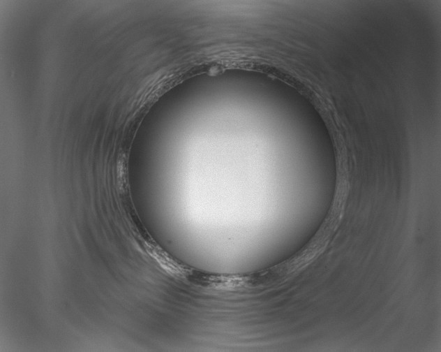 X0000078270288200611030958