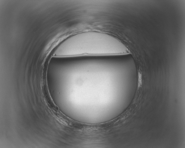 X0000078270291200611030958