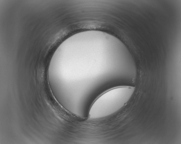X0000078270304200611030957
