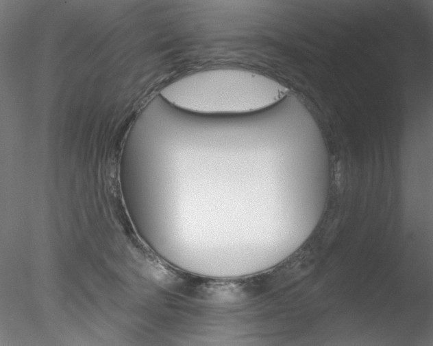 X0000078270322200611030957