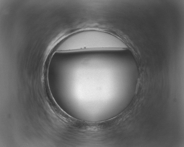 X0000078270344200611030956