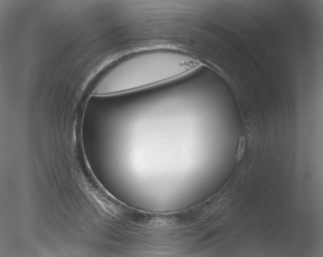 X0000078270350200611030956