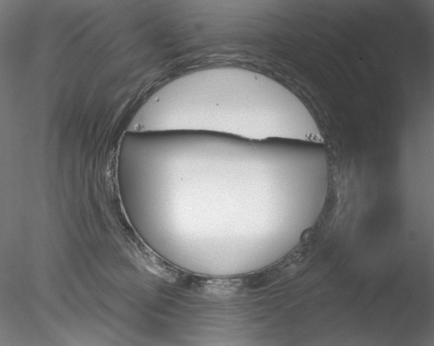 X0000078270373200611030957