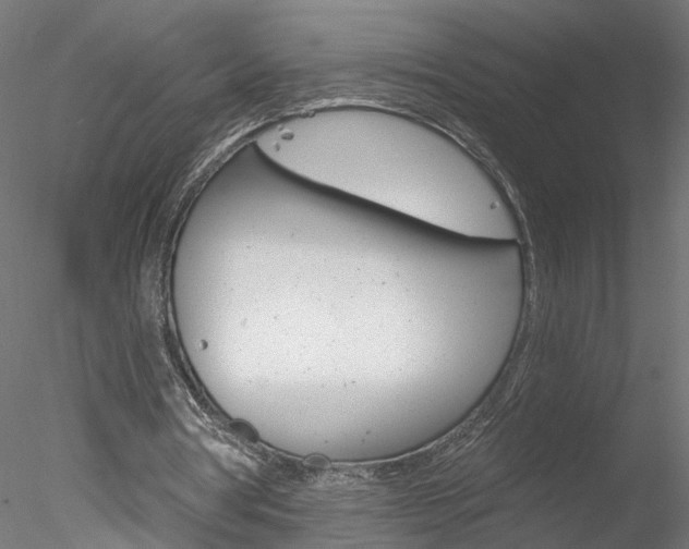 X0000078270386200611030956
