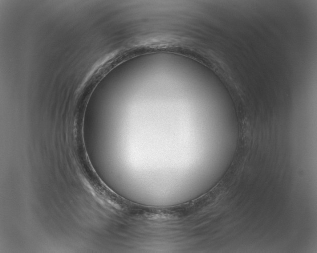 X0000078270400200611030956