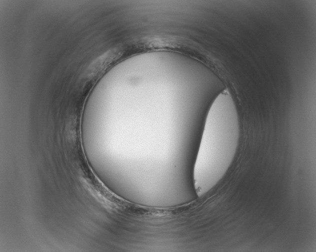 X0000078270402200611030956