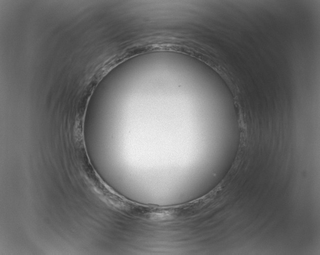 X0000078270411200611030956