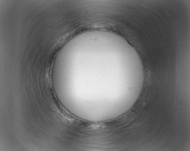 X0000078270415200611030956