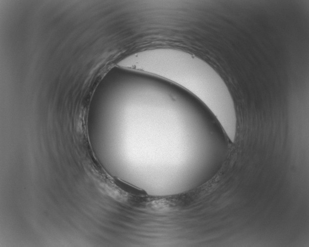 X0000078270423200611030955