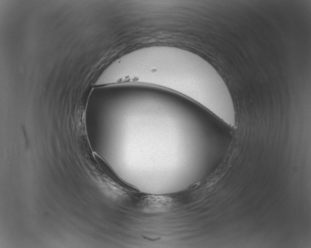X0000078270429200611030955